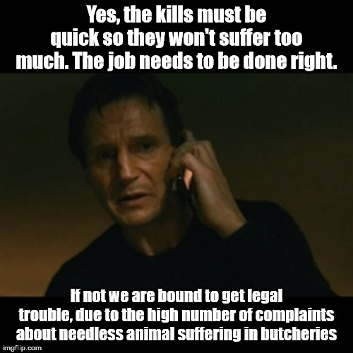 It must be planned well... or else | Yes, the kills must be quick so they won't suffer too much. The job needs to be done right. If not we are bound to get legal trouble, due to the high number of complaints about needless animal suffering in butcheries | image tagged in memes,liam neeson taken | made w/ Imgflip meme maker