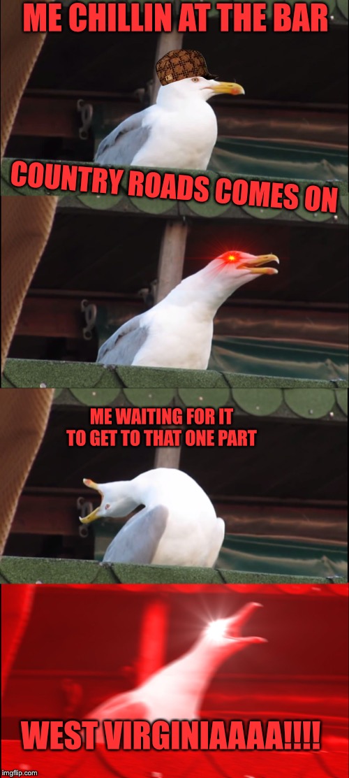 Best karaoke song ever! | ME CHILLIN AT THE BAR; COUNTRY ROADS COMES ON; ME WAITING FOR IT TO GET TO THAT ONE PART; WEST VIRGINIAAAA!!!! | image tagged in memes,inhaling seagull,john denver,country music,seagulls | made w/ Imgflip meme maker