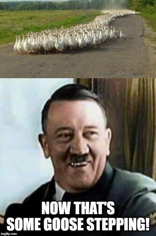 German Soldiers? | NOW THAT'S SOME GOOSE STEPPING! | image tagged in laughing hitler | made w/ Imgflip meme maker