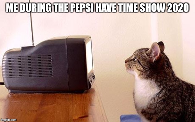 cat watching tv | ME DURING THE PEPSI HAVE TIME SHOW 2020 | image tagged in cat watching tv | made w/ Imgflip meme maker