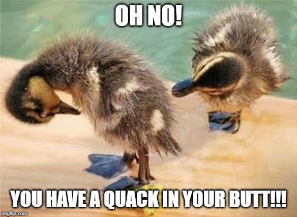 Rear Observation | OH NO! YOU HAVE A QUACK IN YOUR BUTT!!! | image tagged in ducks | made w/ Imgflip meme maker