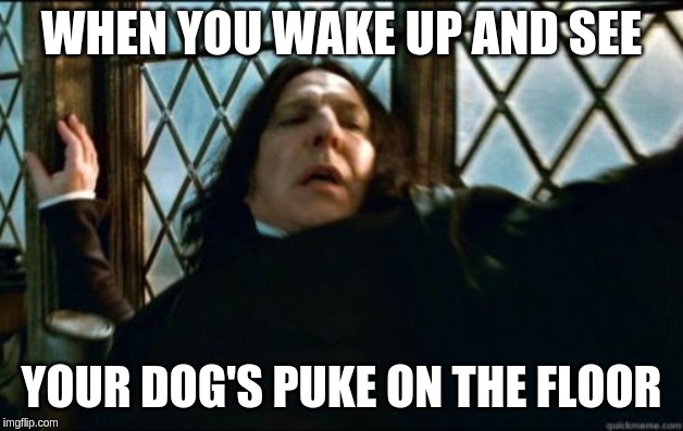 Snape | WHEN YOU WAKE UP AND SEE; YOUR DOG'S PUKE ON THE FLOOR | image tagged in memes,snape | made w/ Imgflip meme maker