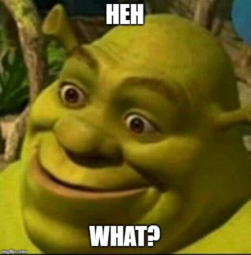 shrek whatever | HEH WHAT? | image tagged in shrek whatever | made w/ Imgflip meme maker