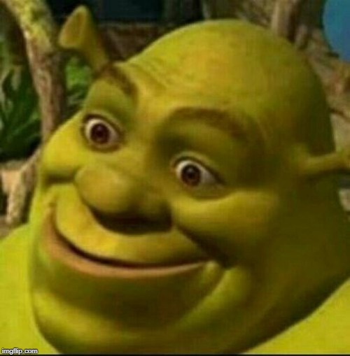 shrek whatever | image tagged in shrek whatever | made w/ Imgflip meme maker