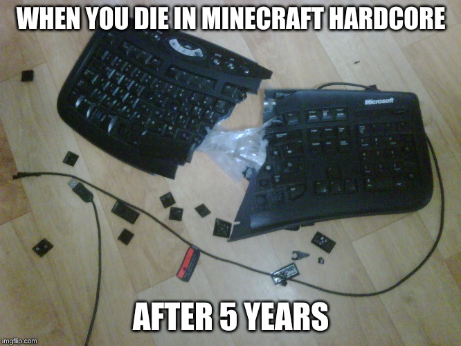 WHEN YOU DIE IN MINECRAFT HARDCORE; AFTER 5 YEARS | image tagged in broken keyboard,minecraft,hardcore | made w/ Imgflip meme maker