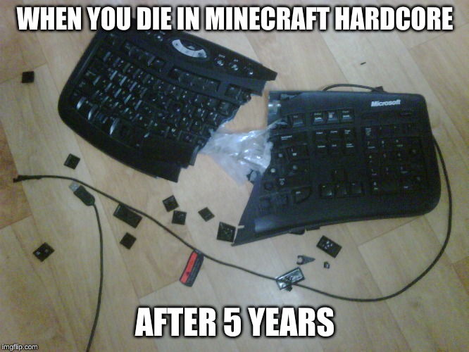 Image tagged in broken keyboard,minecraft,hardcore - Imgflip