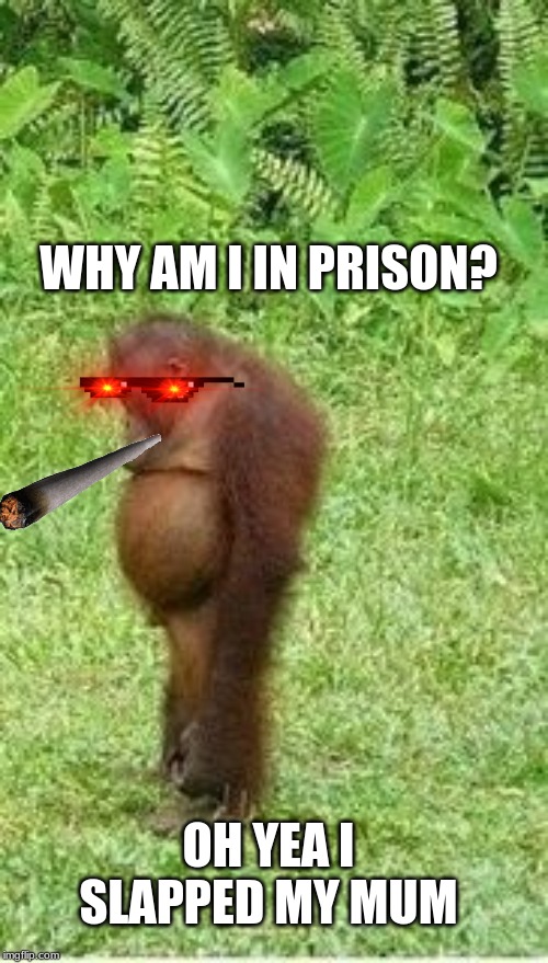 Sad orangutan | WHY AM I IN PRISON? OH YEA I SLAPPED MY MUM | image tagged in sad orangutan | made w/ Imgflip meme maker