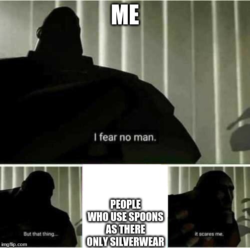 I fear no man | ME; PEOPLE WHO USE SPOONS AS THERE ONLY SILVERWARE | image tagged in i fear no man | made w/ Imgflip meme maker