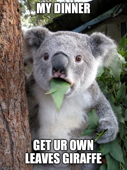 Surprised Koala Meme | MY DINNER; GET UR OWN LEAVES GIRAFFE | image tagged in memes,surprised koala | made w/ Imgflip meme maker