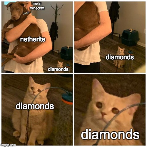sad cat dog hold | me in minecraft; netherite; diamonds; diamonds; diamonds; diamonds | image tagged in sad cat dog hold | made w/ Imgflip meme maker