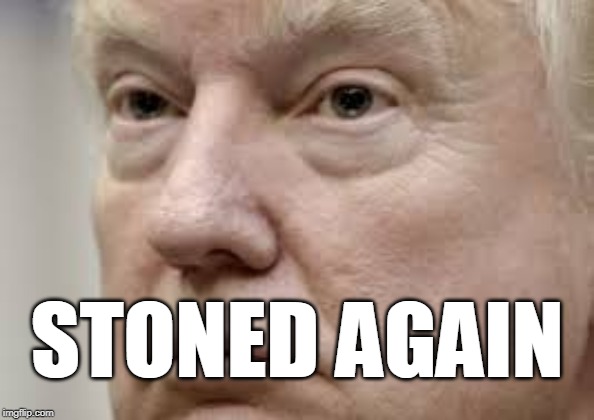 STONED AGAIN | image tagged in trump | made w/ Imgflip meme maker