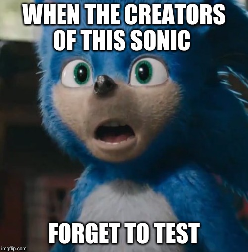 Sonic Movie | WHEN THE CREATORS OF THIS SONIC; FORGET TO TEST | image tagged in sonic movie | made w/ Imgflip meme maker