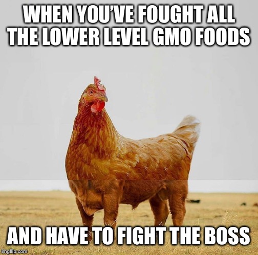 Round 1: Fight! | WHEN YOU’VE FOUGHT ALL THE LOWER LEVEL GMO FOODS; AND HAVE TO FIGHT THE BOSS | image tagged in gmo,street fighter,chicken,beef,animals | made w/ Imgflip meme maker