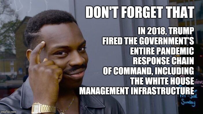 Don't Trust The Pathalogical Liar With Narcissistic Personality Disorder.  Protect Your Family | DON'T FORGET THAT; IN 2018, TRUMP FIRED THE GOVERNMENT’S ENTIRE PANDEMIC RESPONSE CHAIN OF COMMAND, INCLUDING THE WHITE HOUSE MANAGEMENT INFRASTRUCTURE | image tagged in memes,roll safe think about it,trump unfit unqualified dangerous,liar in chief,lock him up,trump traitor | made w/ Imgflip meme maker