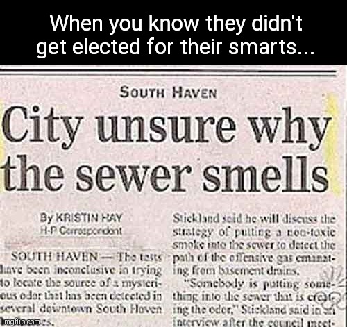 South Haven headline | When you know they didn't get elected for their smarts... | image tagged in south haven headline,stupid people,funny | made w/ Imgflip meme maker