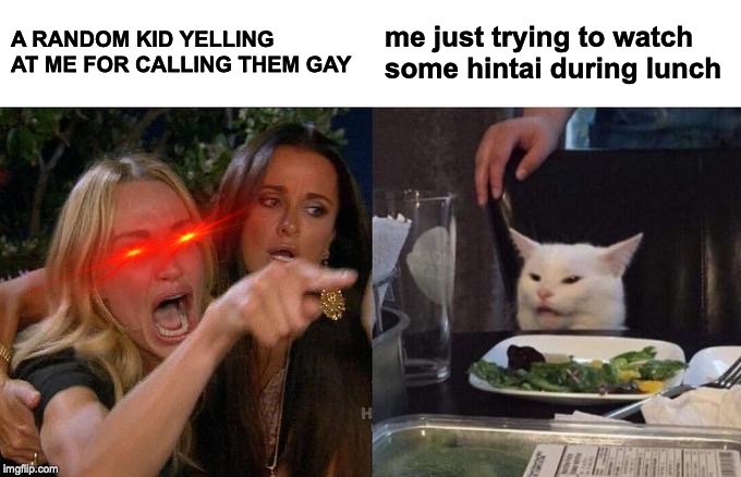 Woman Yelling At Cat Meme | A RANDOM KID YELLING AT ME FOR CALLING THEM GAY; me just trying to watch some hintai during lunch | image tagged in memes,woman yelling at cat | made w/ Imgflip meme maker