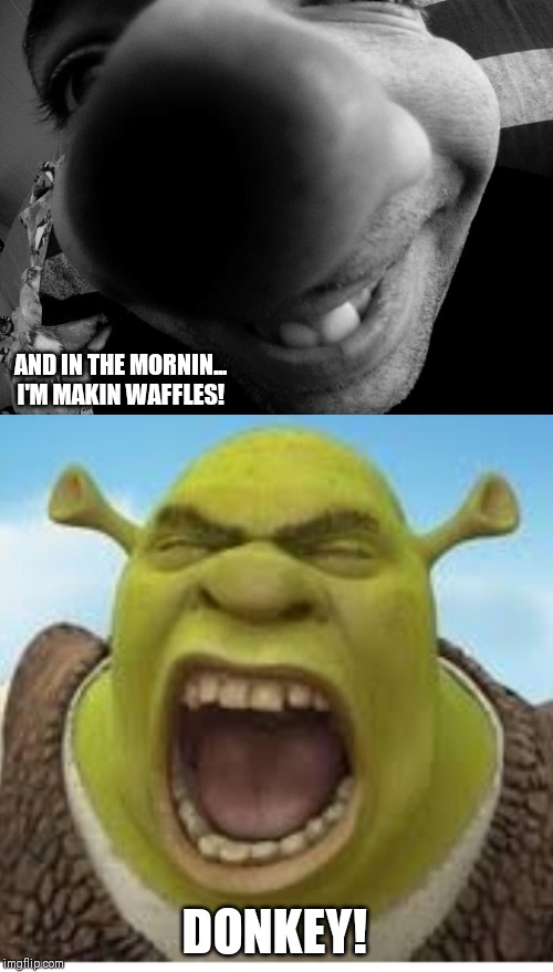 Shreck - Donkey makin waffles | AND IN THE MORNIN...
I'M MAKIN WAFFLES! DONKEY! | image tagged in shrek,donkey,waffles | made w/ Imgflip meme maker