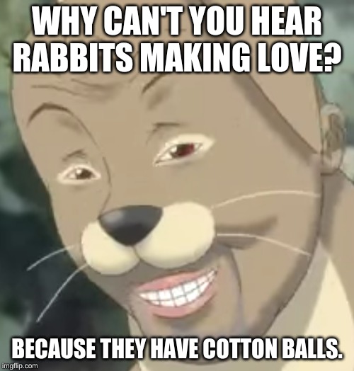 Creepy Anime Rabbit | WHY CAN'T YOU HEAR RABBITS MAKING LOVE? BECAUSE THEY HAVE COTTON BALLS. | image tagged in creepy anime rabbit | made w/ Imgflip meme maker