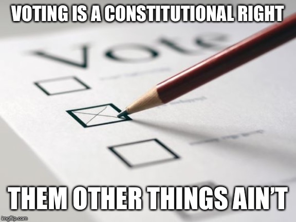 When they say other things require I.D. so voting should too | VOTING IS A CONSTITUTIONAL RIGHT; THEM OTHER THINGS AIN’T | image tagged in voting,election fraud,rigged elections,voter id,voter fraud,rights | made w/ Imgflip meme maker