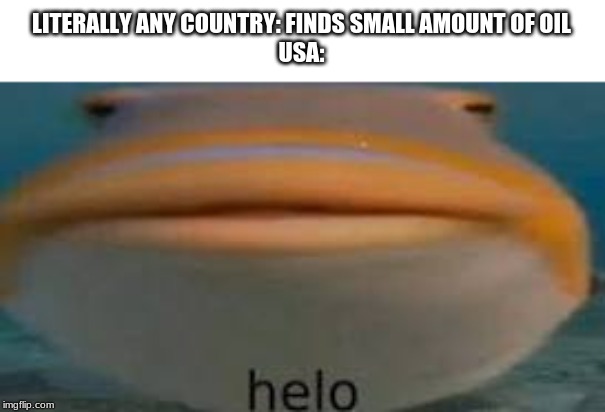 Helo | LITERALLY ANY COUNTRY: FINDS SMALL AMOUNT OF OIL
USA: | image tagged in helo | made w/ Imgflip meme maker