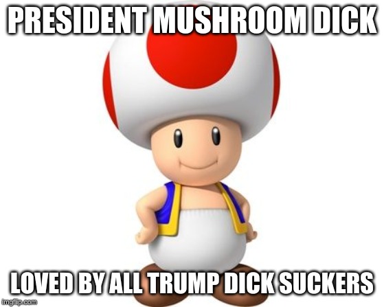 Mushroom Mario Kart | PRESIDENT MUSHROOM DICK LOVED BY ALL TRUMP DICK SUCKERS | image tagged in mushroom mario kart | made w/ Imgflip meme maker