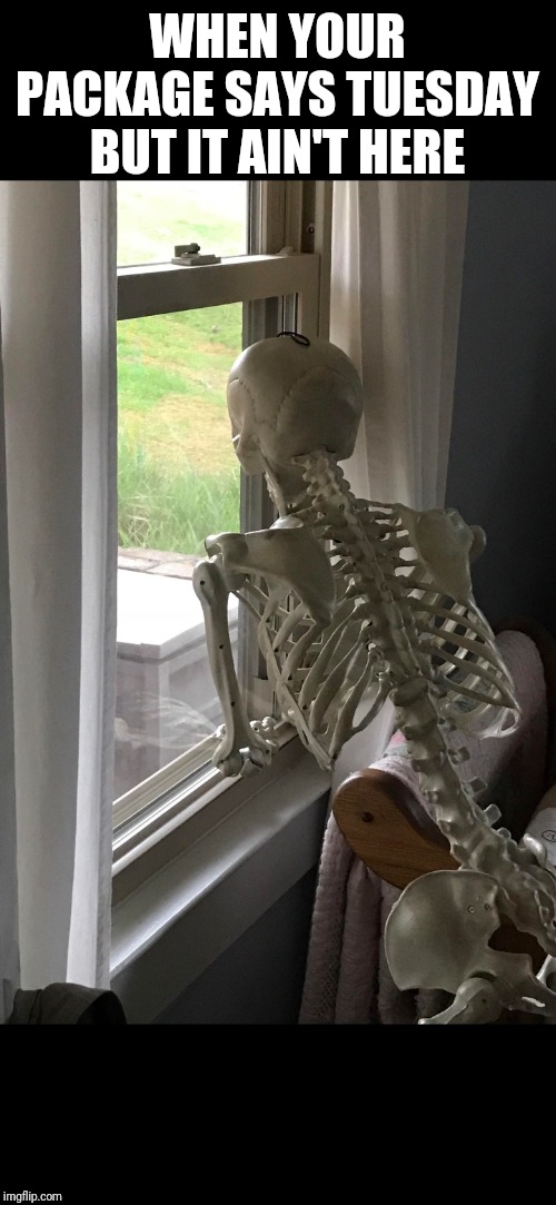 skeleton | WHEN YOUR PACKAGE SAYS TUESDAY BUT IT AIN'T HERE | image tagged in skeleton | made w/ Imgflip meme maker