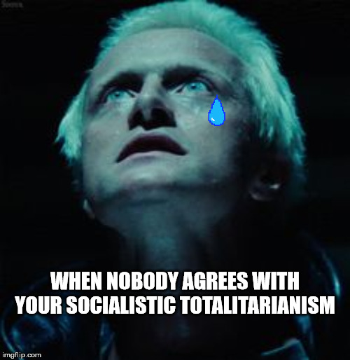 blade runner | WHEN NOBODY AGREES WITH YOUR SOCIALISTIC TOTALITARIANISM | image tagged in blade runner | made w/ Imgflip meme maker