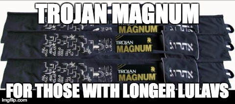 image tagged in magnum-lulav | made w/ Imgflip meme maker