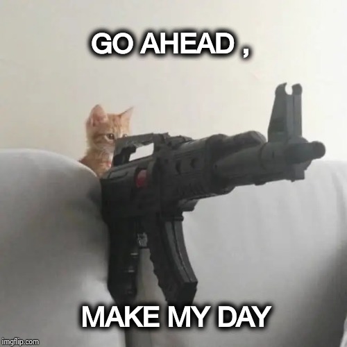 WARNING : These premises protected by Rambo Cat | GO AHEAD , MAKE MY DAY | image tagged in grumpy cat,bfg,beware,get off my lawn | made w/ Imgflip meme maker