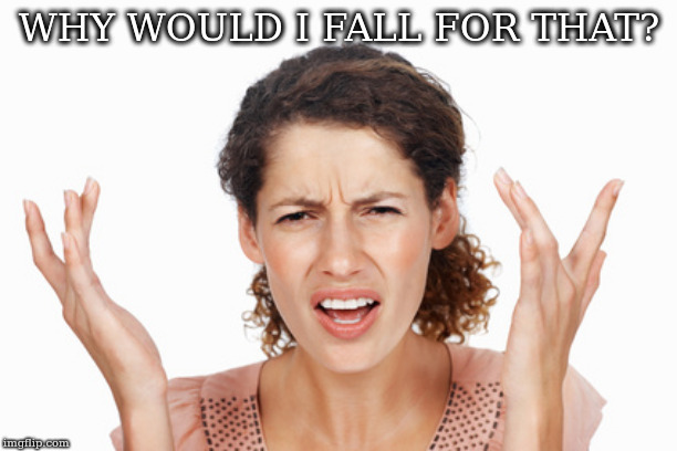Indignant | WHY WOULD I FALL FOR THAT? | image tagged in indignant | made w/ Imgflip meme maker