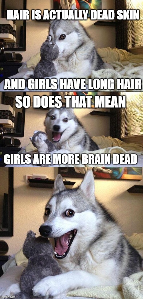 Bad Pun Dog Meme | HAIR IS ACTUALLY DEAD SKIN; AND GIRLS HAVE LONG HAIR; SO DOES THAT MEAN; GIRLS ARE MORE BRAIN DEAD | image tagged in memes,bad pun dog | made w/ Imgflip meme maker