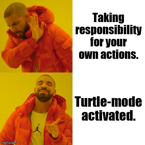 Drake Hotline Bling Meme | Taking responsibility for your own actions. Turtle-mode activated. | image tagged in memes,drake hotline bling | made w/ Imgflip meme maker