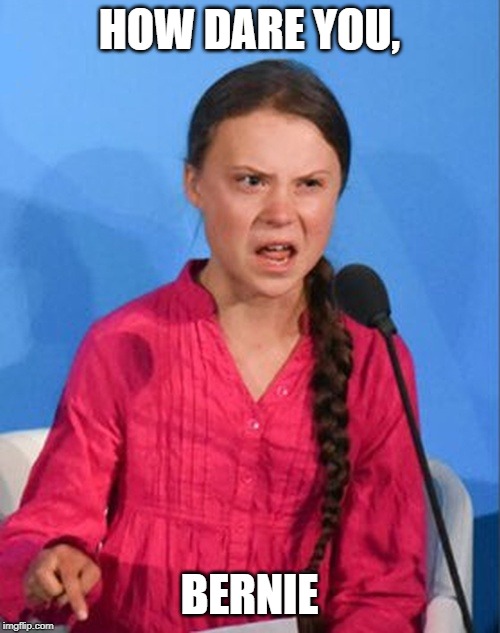 Greta Thunberg how dare you | HOW DARE YOU, BERNIE | image tagged in greta thunberg how dare you | made w/ Imgflip meme maker