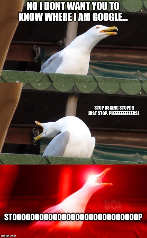 Inhaling seagull | NO I DONT WANT YOU TO KNOW WHERE I AM GOOGLE... STOP ASKING STOP!!!! 
JUST STOP. PLEEEEEEEEEEASE; STOOOOOOOOOOOOOOOOOOOOOOOOOOOOP | image tagged in inhaling seagull | made w/ Imgflip meme maker