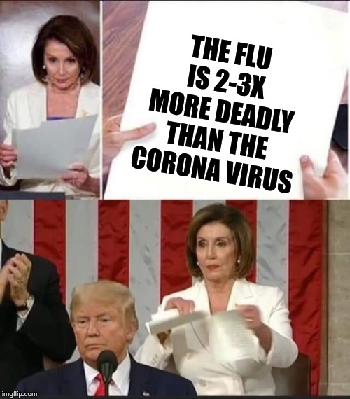 Nancy Pelosi tears speech | THE FLU IS 2-3X MORE DEADLY THAN THE CORONA VIRUS | image tagged in nancy pelosi tears speech | made w/ Imgflip meme maker