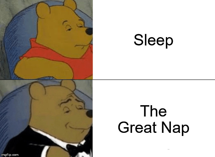 Tuxedo Winnie The Pooh | Sleep; The Great Nap | image tagged in memes,tuxedo winnie the pooh | made w/ Imgflip meme maker