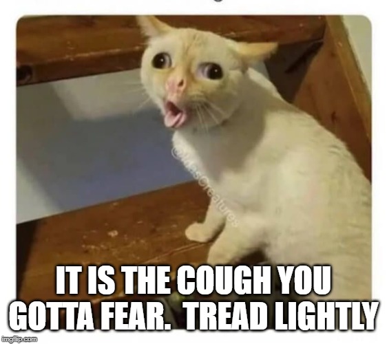 Coughing Cat | IT IS THE COUGH YOU GOTTA FEAR.  TREAD LIGHTLY | image tagged in coughing cat | made w/ Imgflip meme maker