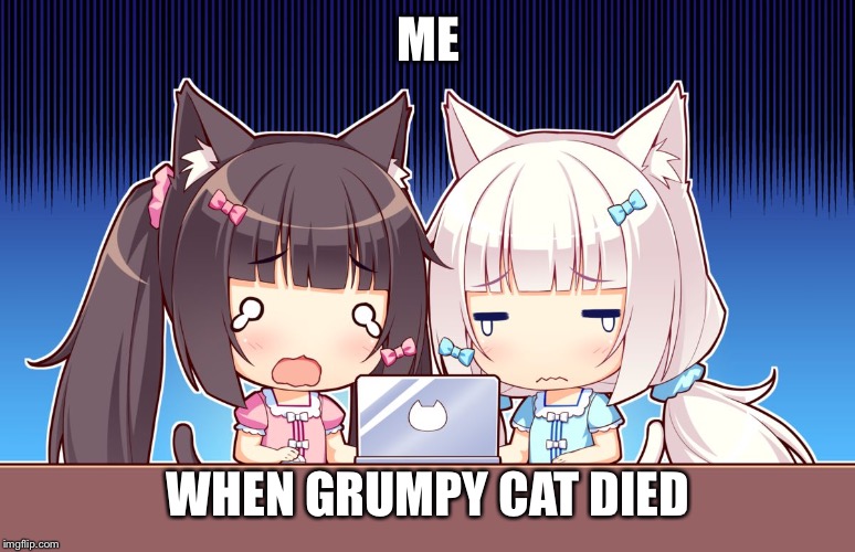 cute anime girls | ME; WHEN GRUMPY CAT DIED | image tagged in cute anime girls | made w/ Imgflip meme maker