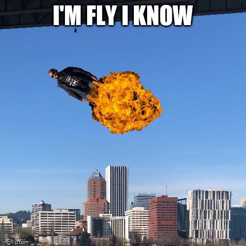 I'M FLY I KNOW | image tagged in portlandia | made w/ Imgflip meme maker