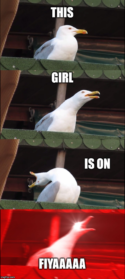 Inhaling Seagull | THIS; GIRL; IS ON; FIYAAAAA | image tagged in memes,inhaling seagull | made w/ Imgflip meme maker