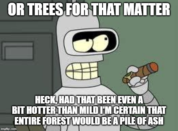Bender | OR TREES FOR THAT MATTER HECK, HAD THAT BEEN EVEN A BIT HOTTER THAN MILD I'M CERTAIN THAT ENTIRE FOREST WOULD BE A PILE OF ASH | image tagged in bender | made w/ Imgflip meme maker