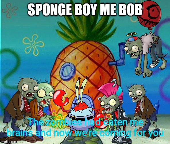SPONGE BOY ME BOB; The zombies had eaten me brains and now we're coming for you | image tagged in ahoy spongebob,mr krabs,plants vs zombies,pvz,memes | made w/ Imgflip meme maker