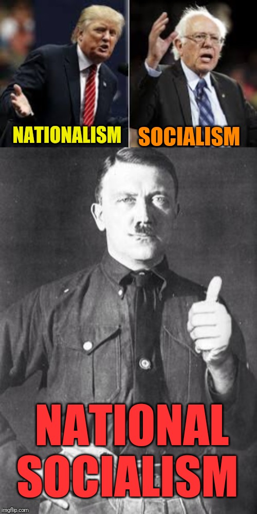 Sooo Hear me out | SOCIALISM; NATIONALISM; NATIONAL SOCIALISM | image tagged in hitler,trump bernie | made w/ Imgflip meme maker
