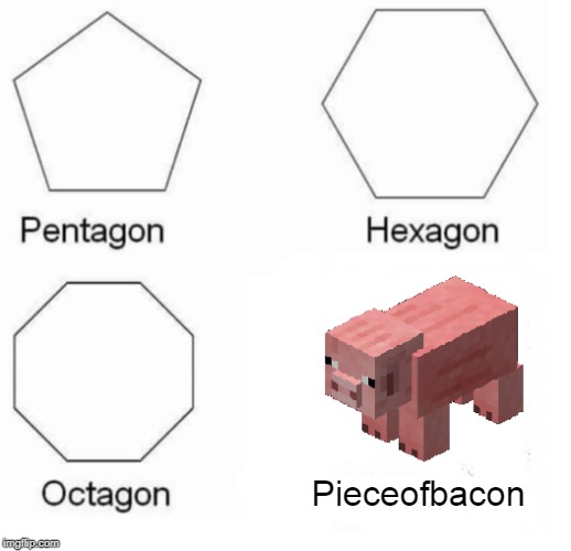 Know your geometry | Pieceofbacon | image tagged in minecraft,food,geometry,pentagon hexagon octagon,fun | made w/ Imgflip meme maker