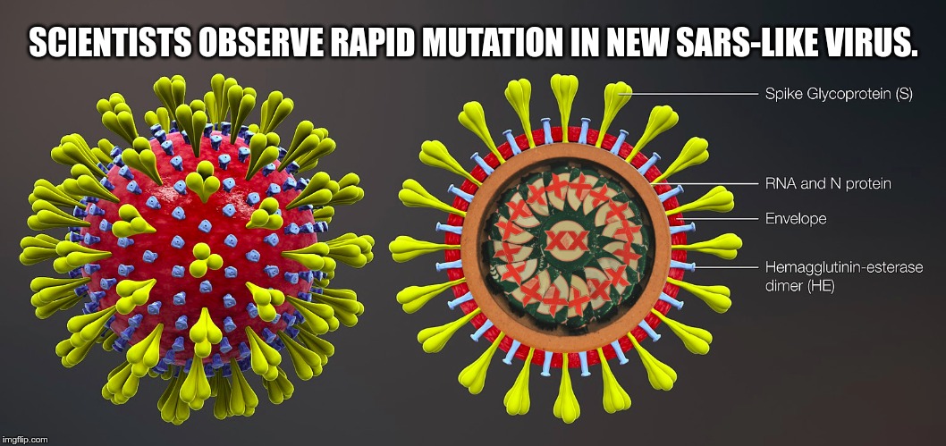 Dos Equis Virus | SCIENTISTS OBSERVE RAPID MUTATION IN NEW SARS-LIKE VIRUS. | image tagged in dos equis virus | made w/ Imgflip meme maker