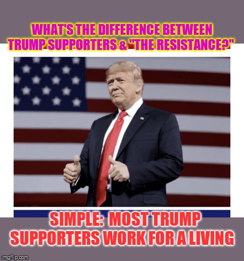 Backbone of American society | WHAT'S THE DIFFERENCE BETWEEN TRUMP SUPPORTERS & "THE RESISTANCE?"; SIMPLE:  MOST TRUMP SUPPORTERS WORK FOR A LIVING | image tagged in liberals vs conservatives,democrat donkey,communist socialist | made w/ Imgflip meme maker