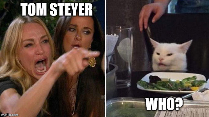 Who? | TOM STEYER; WHO? | image tagged in angry lady cat,democrats,election 2020 | made w/ Imgflip meme maker