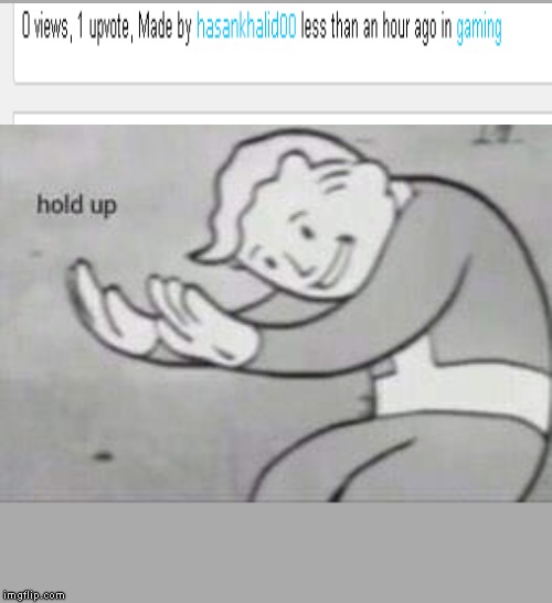Fallout Hold Up | image tagged in fallout hold up | made w/ Imgflip meme maker