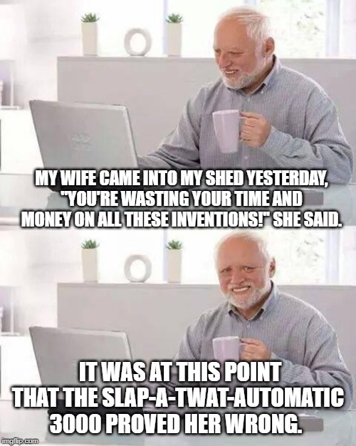 Hide the Pain Harold Meme | MY WIFE CAME INTO MY SHED YESTERDAY, "YOU'RE WASTING YOUR TIME AND MONEY ON ALL THESE INVENTIONS!'' SHE SAID. IT WAS AT THIS POINT THAT THE SLAP-A-TWAT-AUTOMATIC 3000 PROVED HER WRONG. | image tagged in memes,hide the pain harold | made w/ Imgflip meme maker