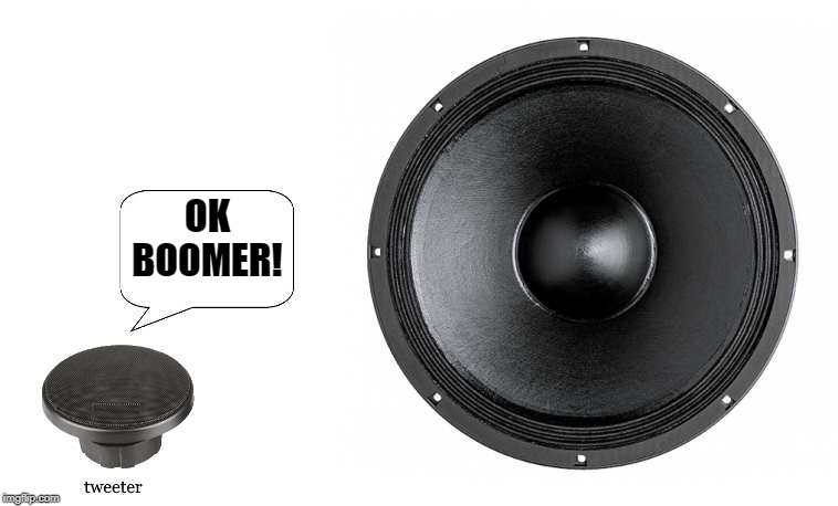 ok boomer | OK BOOMER! | image tagged in ok boomer,tweeter,kewlew | made w/ Imgflip meme maker